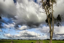 九游体育亚洲官网-德国女足联赛第一轮比赛圆满结束