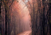 九游体育登录-富勒姆中场组织核心伤愈复出，球队稳定性增强，富勒姆首发