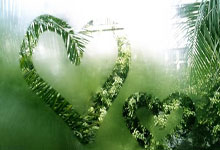 九游体育app-洛里昂对攸昂速卡哥，决胜时刻到来——谁能笑到最后？