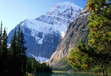 九游体育官网入口-拉脱维亚新星闪耀奥运：女子撑杆跳金牌背后的坚持与荣耀