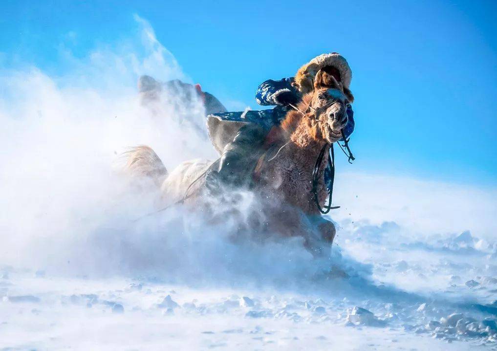 蒙古队选手表现出色,勇往直前的简单介绍 蒙古队选手表现出色,勇往直前的简单介绍