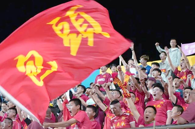 赛场上的激烈对抗,球迷欢呼声不断 赛场上的激烈对抗,球迷欢呼声不断