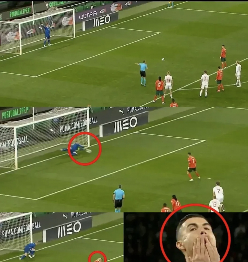 丹麦球员因暴力行为受到处罚 丹麦球员因暴力行为受到处罚