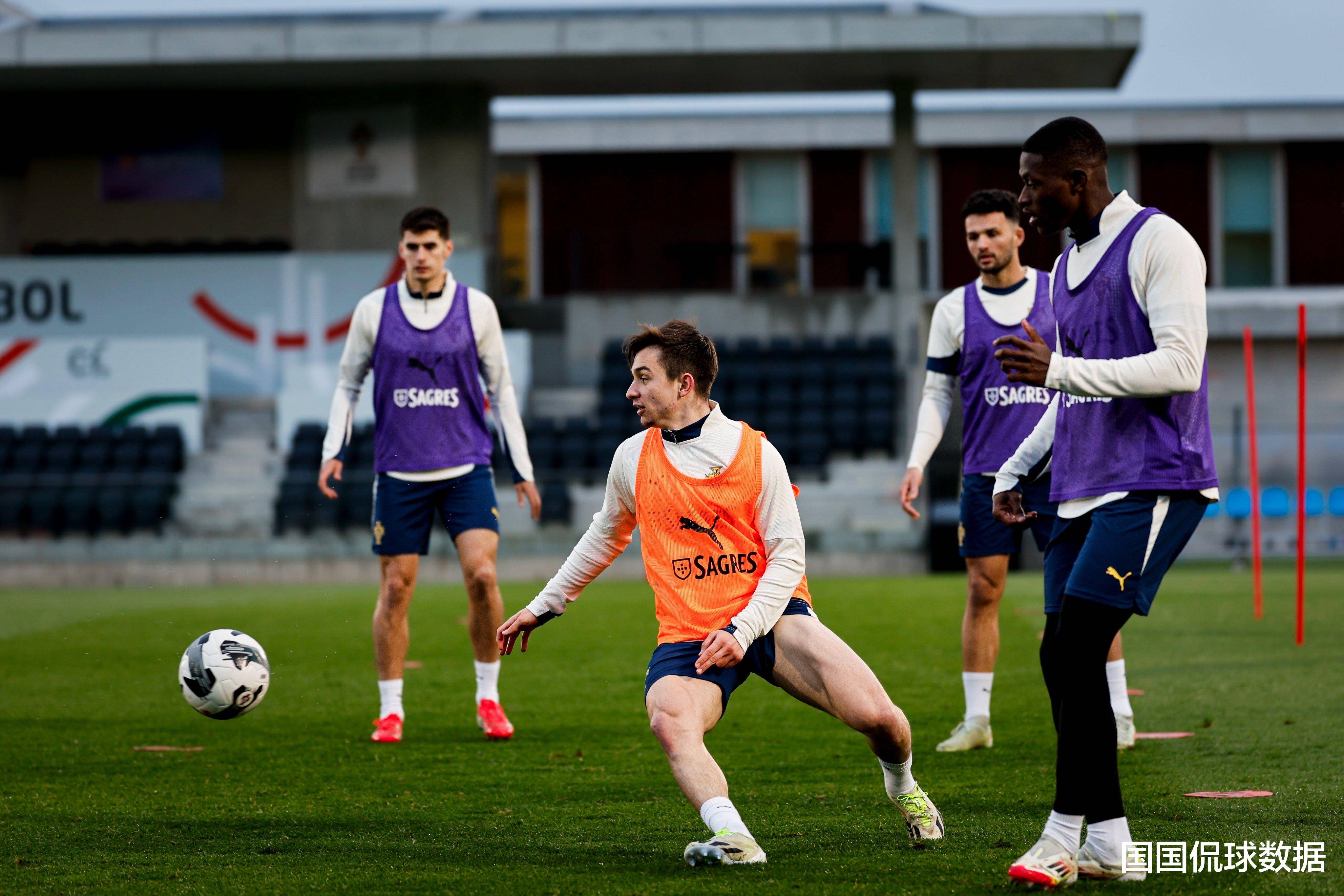 丹麦球员因暴力行为受到处罚 丹麦球员因暴力行为受到处罚